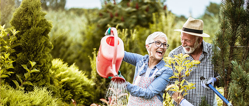 Happy Couple Gardening Together