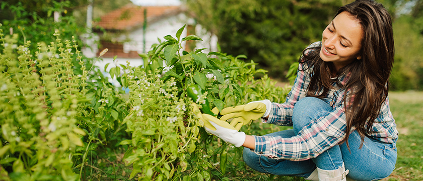 Woman Gardening