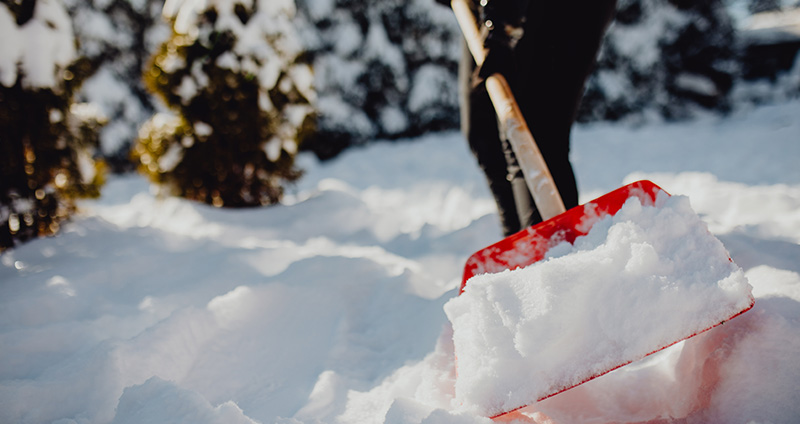 Show Shovel