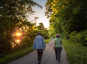Couple Walking in Park on Journey